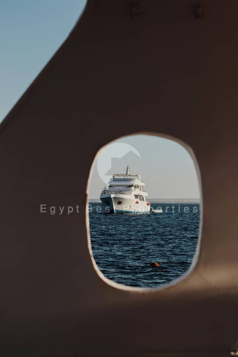 13 pexels-leefinvrede-14668166. jpg