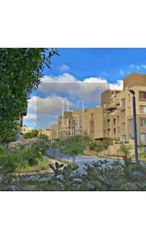 4 images (1). jfif. jpg