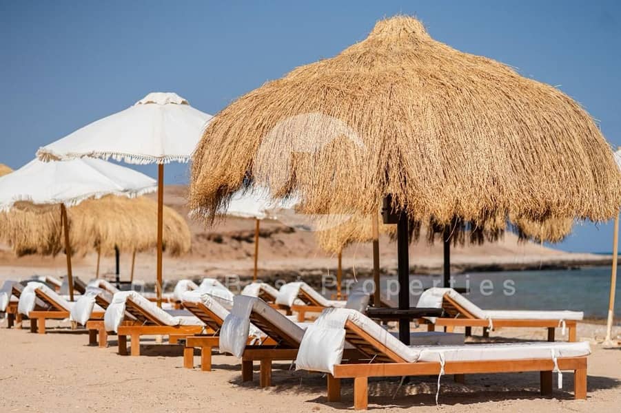 6 54a0bae1-b6d7-4344-993c-7b09e42e37ff. jpeg