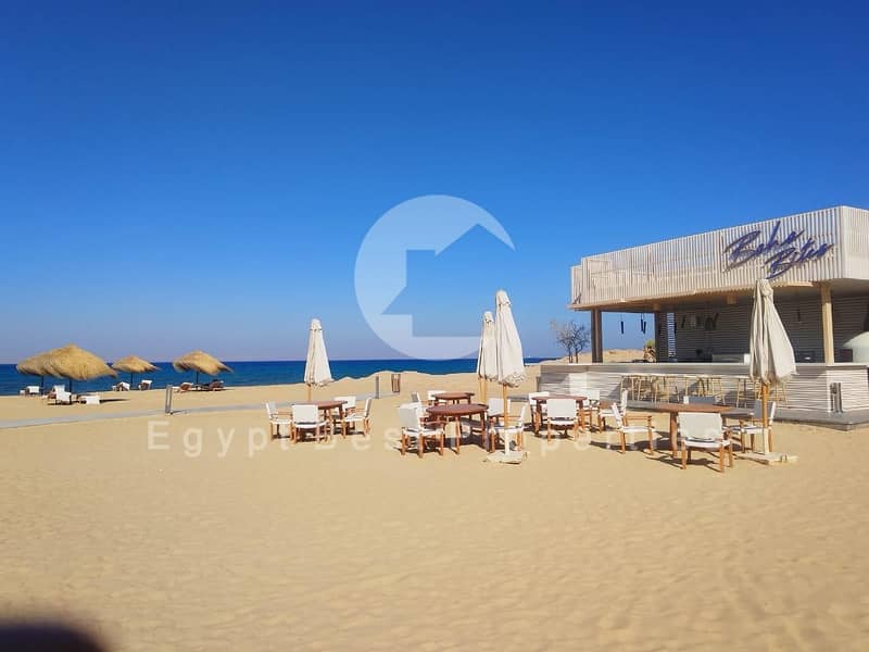 12 f3166b9d-3da4-4899-8184-8fbf212823cc. jpeg