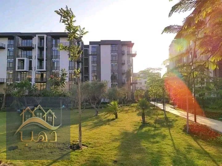 5 WhatsApp Image 2025-09-13 at 3.54. 36 PM. jpeg