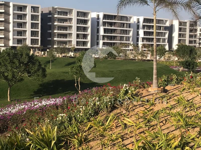 4 WhatsApp Image 2018-02-24 at 5.27. 16 PM (1). jpeg