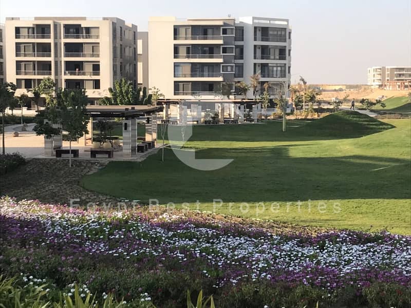 6 WhatsApp Image 2018-02-24 at 5.27. 17 PM. jpeg