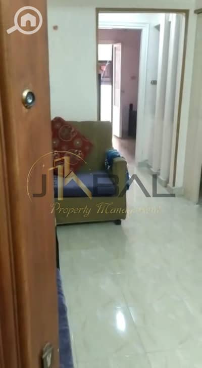 3 Bedroom Flat for Rent in Miami, Alexandria - WhatsApp Image 2025-12-14 at 7.39. 06 PM (1). jpeg