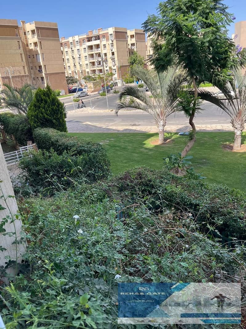 2 daf12931-c011-4ea4-bbd2-960069abff6e. jpg