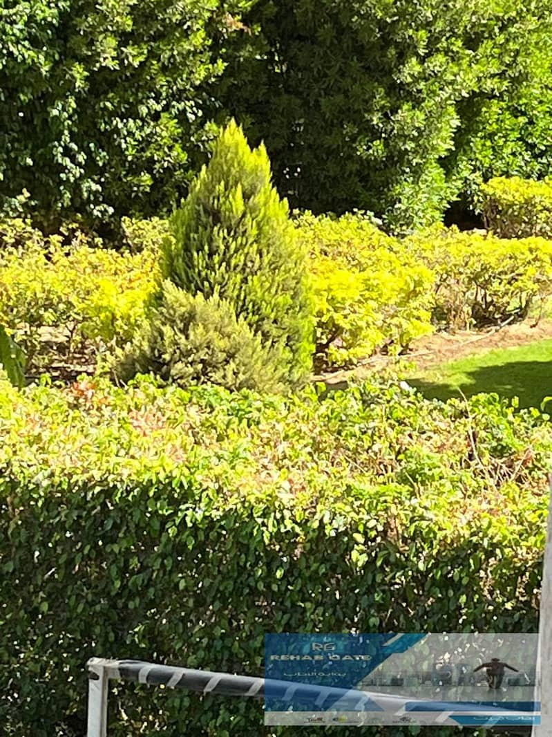 3 26426b2d-4431-4900-ba14-09e0ce60a9da. jpg