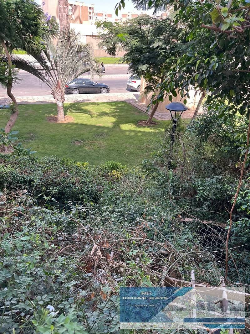 8 7fc05b04-0d77-4000-97e8-7f0795abe29e. jpg