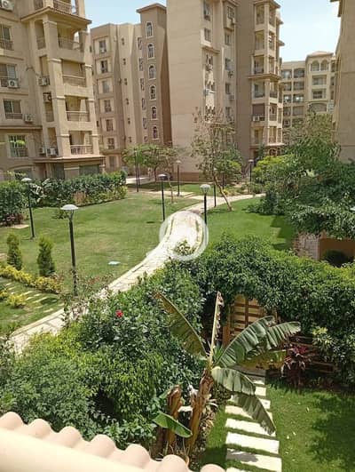 3 Bedroom Apartment for Sale in Madinaty, Cairo - WhatsApp Image 2025-12-10 at 1.28. 22 PM (1). jpeg