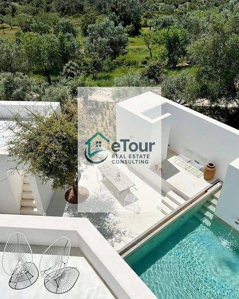 2 50caf452-e8f7-4f6e-8f91-8f88ef0c428f. jpg