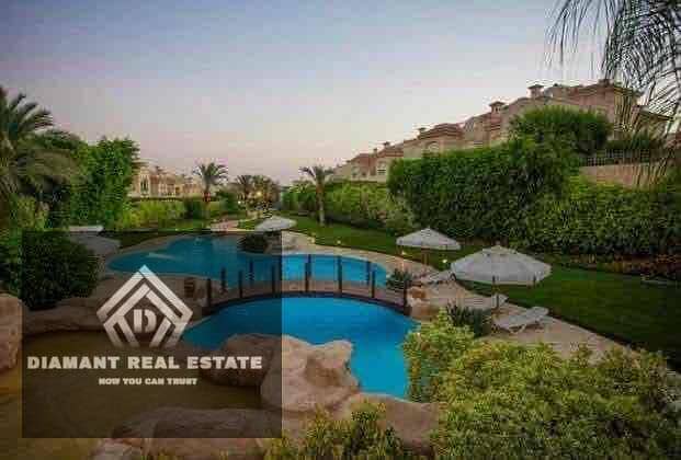 3 add28a7c-bbcf-4958-9bb9-5778a9990921. jpg