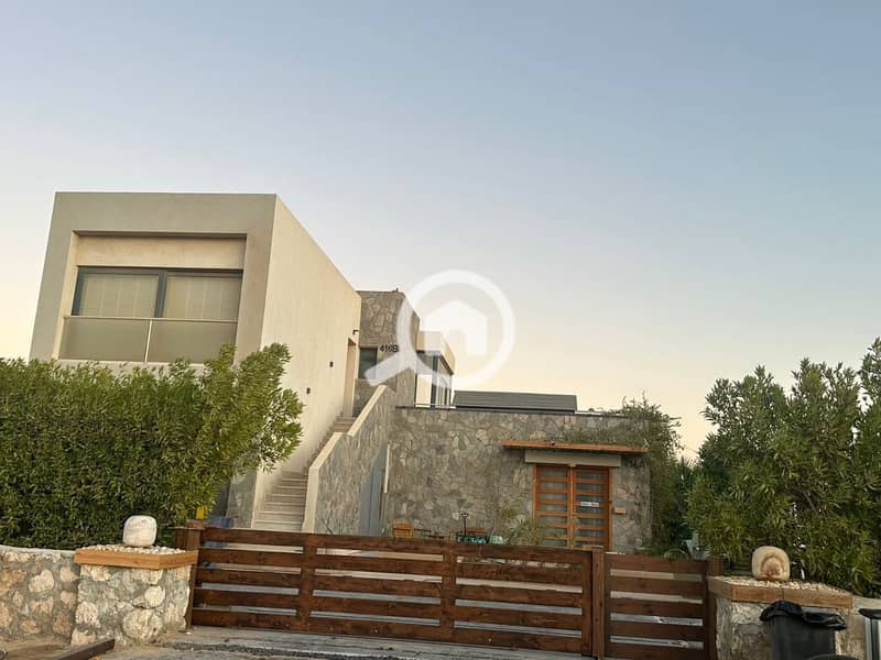 2 photo_2025-03-06_20-07-00. jpg