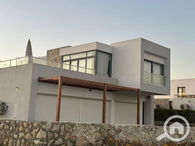 6 photo_2025-03-06_20-07-01. jpg