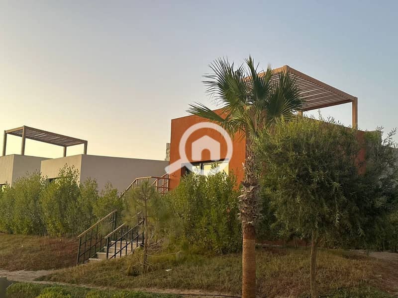 7 photo_2025-03-06_20-06-51. jpg