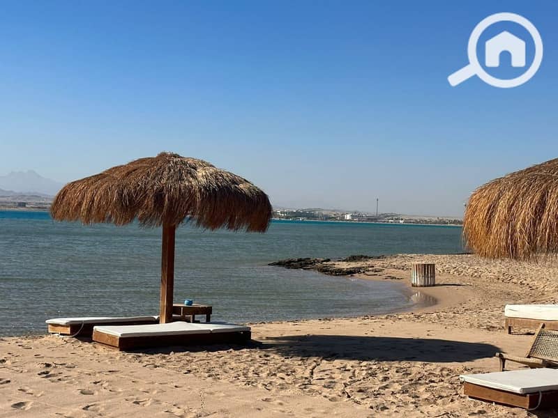 8 photo_2025-03-06_20-06-46. jpg