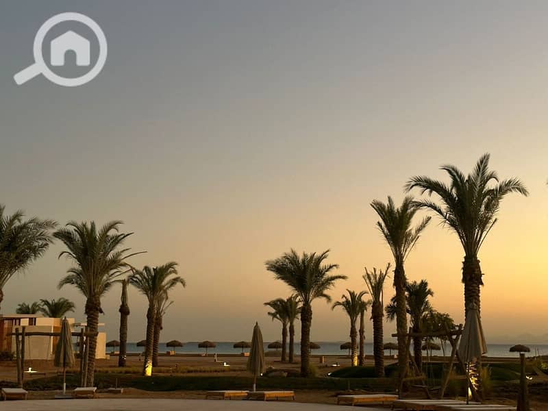 9 photo_2024-12-20_22-29-58. jpg