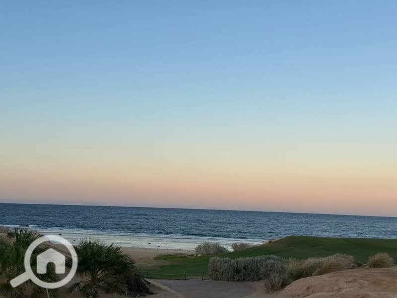 10 photo_2025-05-24_21-59-38. jpg