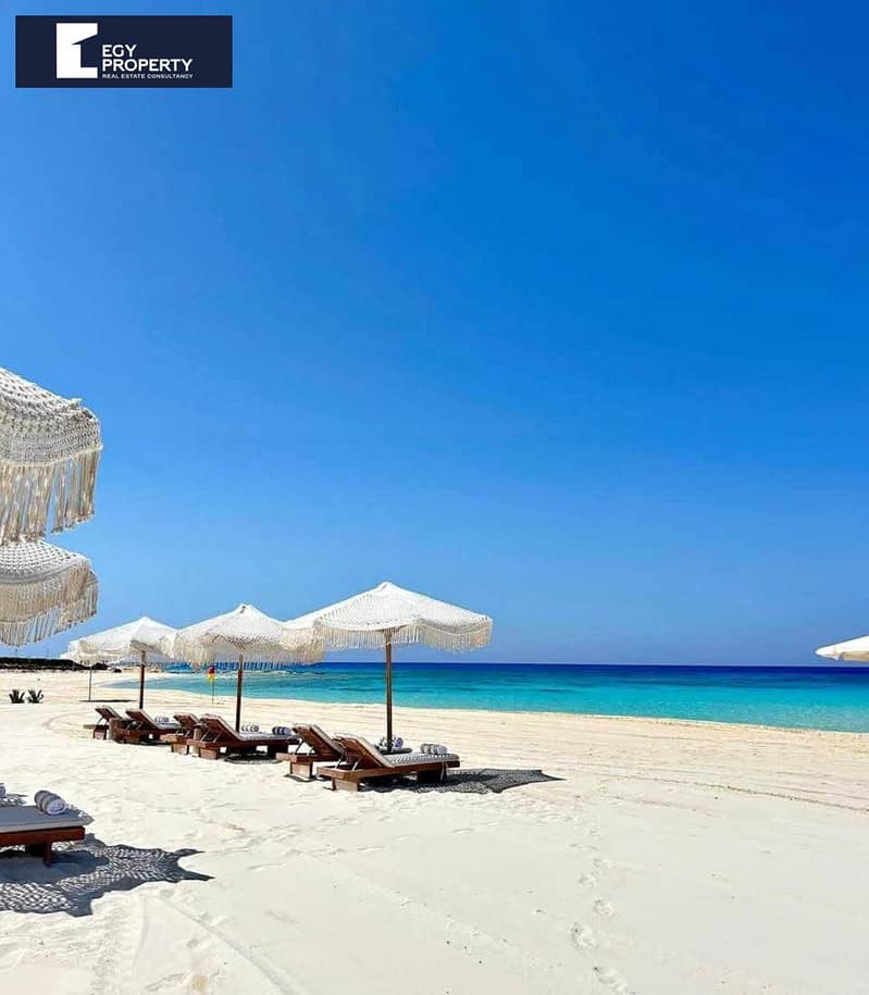 2 WhatsApp Image 2025-12-13 at 23.43. 50_e2af53c5. jpg