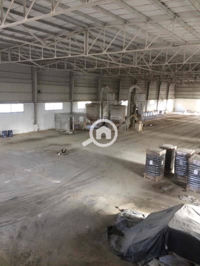 مصنع  للايجار في برج العرب، الإسكندرية - IMG_3105. jpg