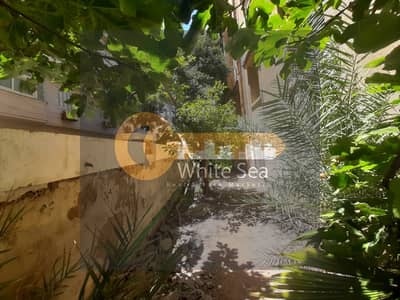 Office for Rent in Roushdy, Alexandria - Untitled. jpg