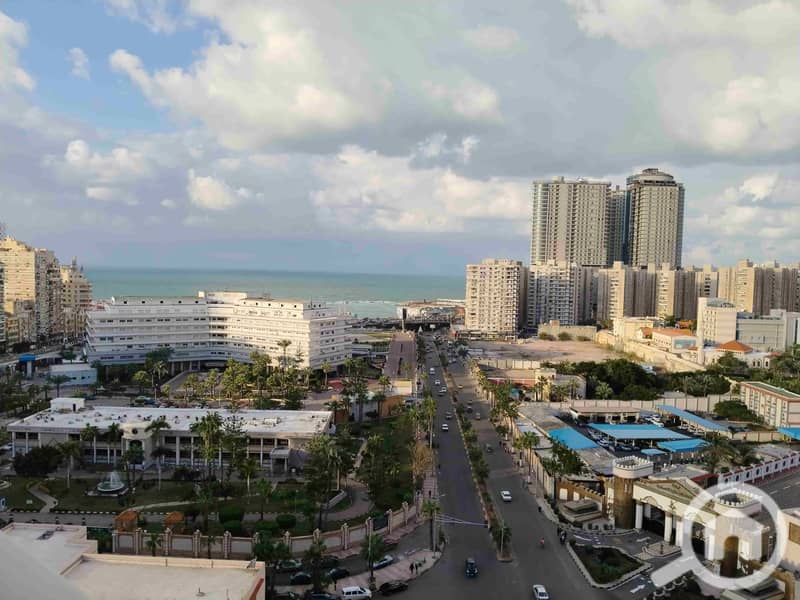 1000387730. jpg 1000387730. jpg