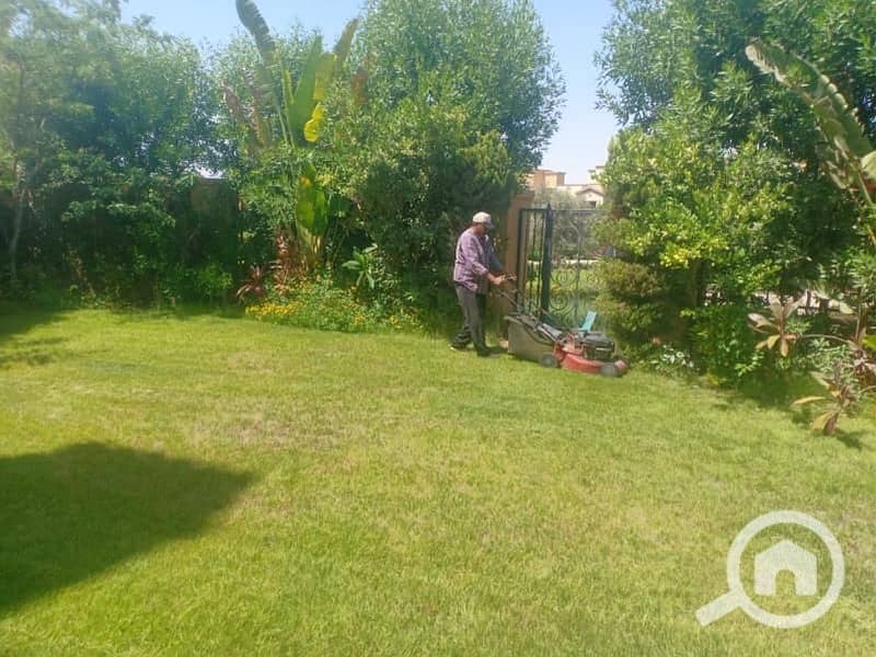 3 667a7dad-1b88-4d04-a58f-7abbe967d5f7. jpg