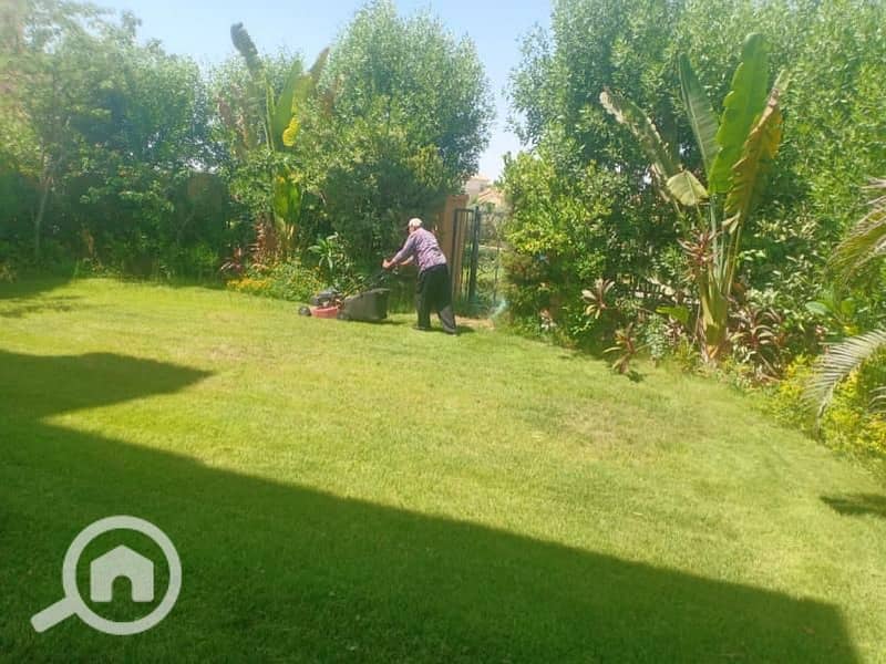 12 c3d5326d-0c84-47d0-90fc-88d9db23176e. jpg