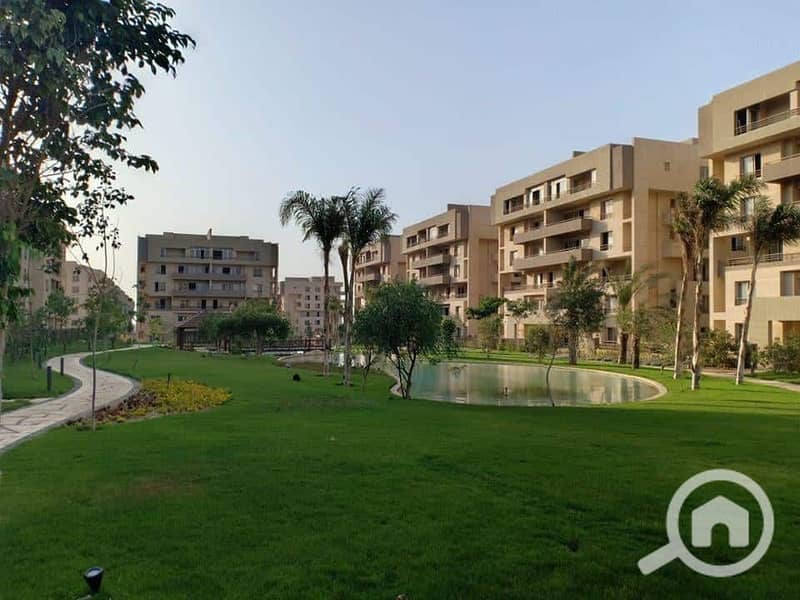 7 81924777_505443466757373_5350865386310991872_n. jpg