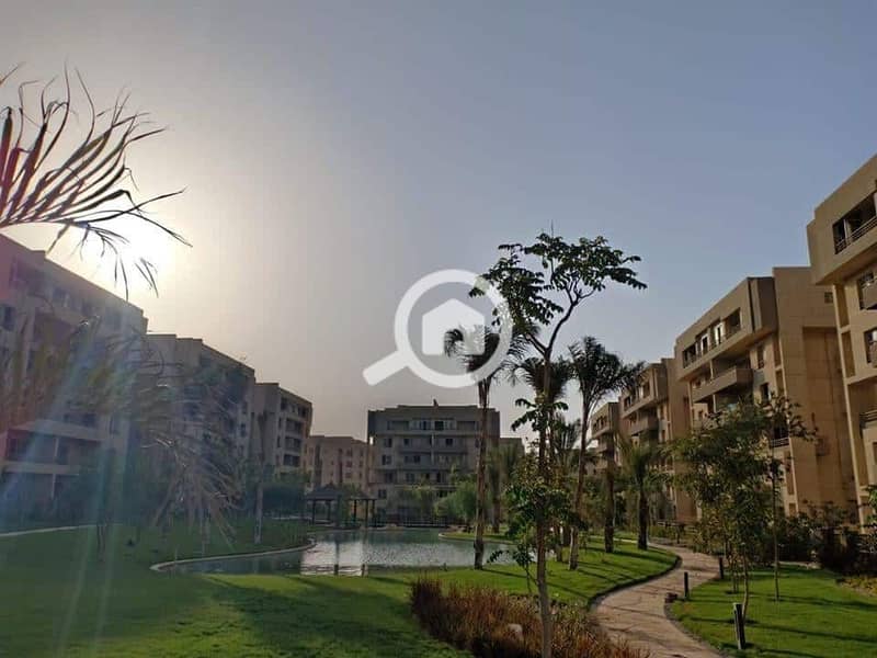 8 82042125_641290953273756_5514179606480945152_n. jpg