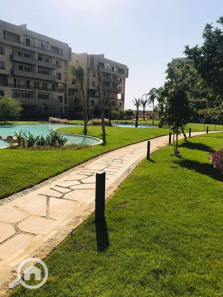 11 82755300_595269307705163_5960703802645413888_n. jpg