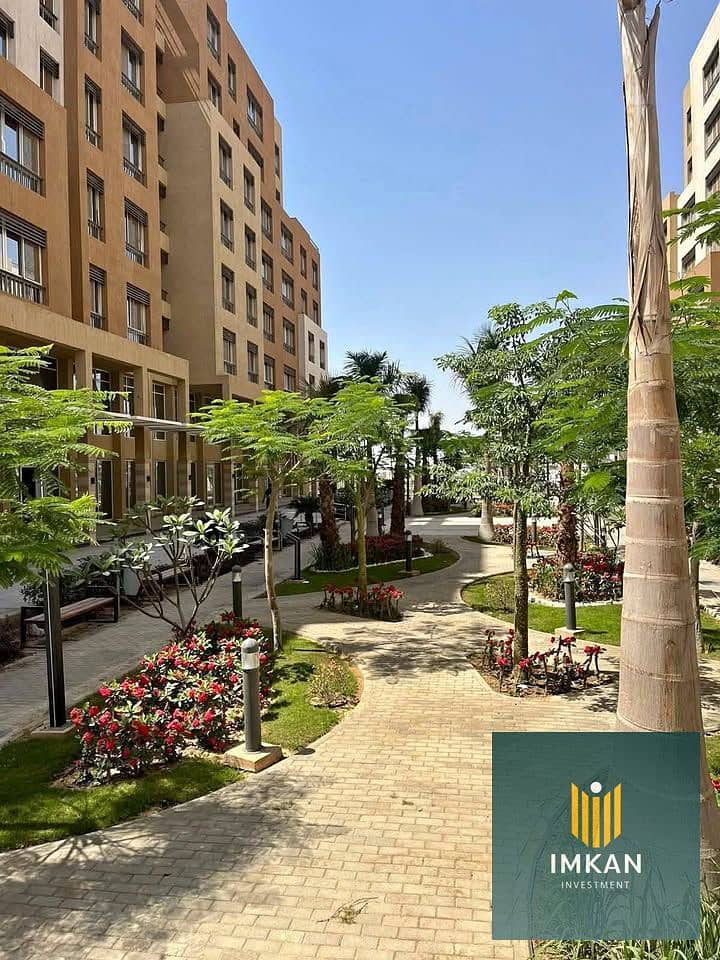 6 595914400_122189541350548253_7817520517546613450_n. jpg