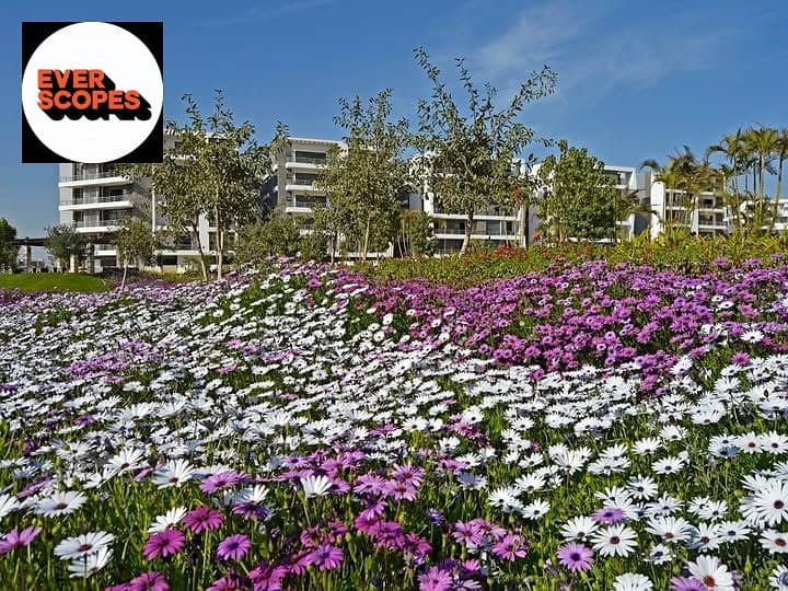 12 WhatsApp Image 2025-12-14 at 4.45. 44 PM (6). jpeg