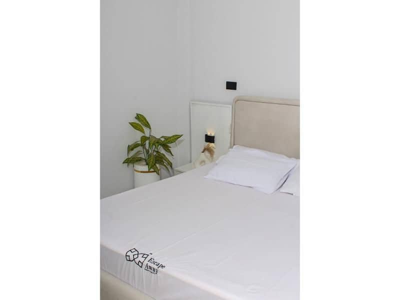 7 047bfc55-76a3-409c-abe3-ed64e9ab635e. jpg