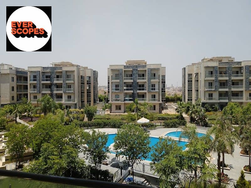 15 2022-07-03 (1). jpg