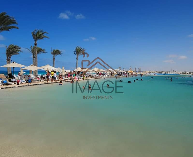 8 WhatsApp Image 2025-02-09 at 4.53. 52 PM (10) - Copy - Copy - Copy. jpeg