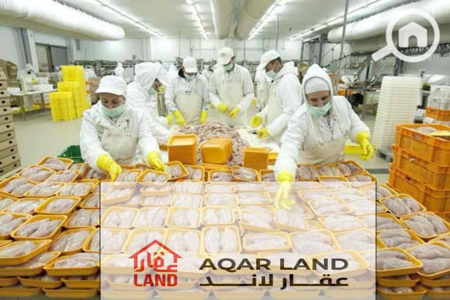 5e18f7a5-535f-4466-bb12-31c49e9919c6. jpg 5e18f7a5-535f-4466-bb12-31c49e9919c6. jpg