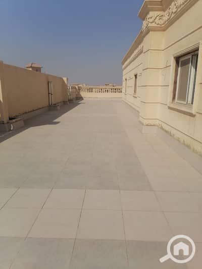 فیلا 11 غرف نوم للبيع في القاهرة الجديدة، القاهرة - WhatsApp Image 2025-12-13 at 15.05. 42_05b3b27a. jpg فیلا 11 غرف نوم للبيع في القاهرة الجديدة، القاهرة - WhatsApp Image 2025-12-13 at 15.05. 42_05b3b27a. jpg