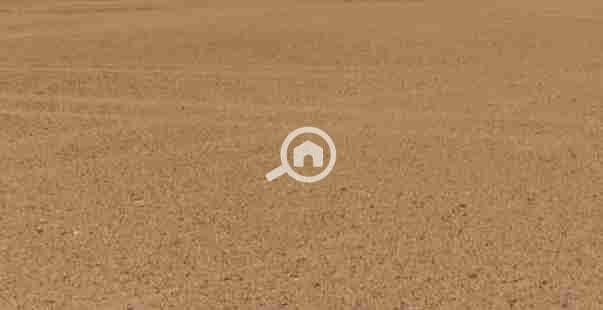 1000331016. jpg 1000331016. jpg