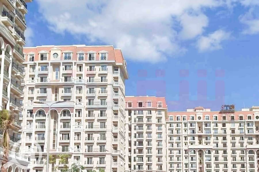 3 WhatsApp Image 2025-11-18 at 15.48. 43 (3). jpg