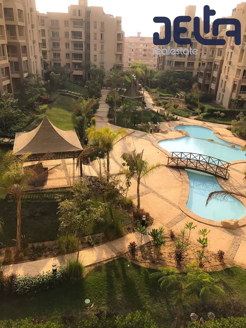 3 504314063_4058056851188781_4020788696452484563_n. jpg