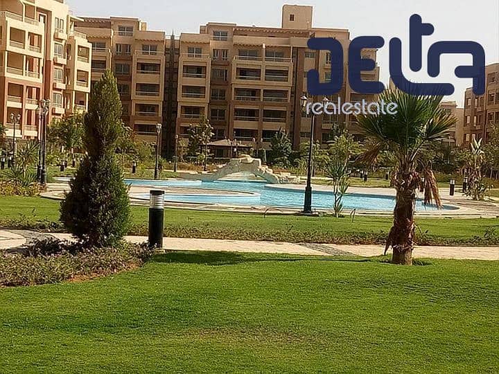 6 556251783_4173847862943012_5643142734032053089_n. jpg