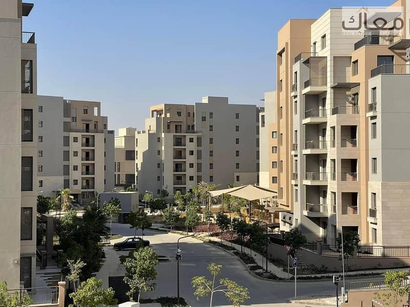 6 767ea6c8-80ce-4161-9c51-78b455c84609. jpeg