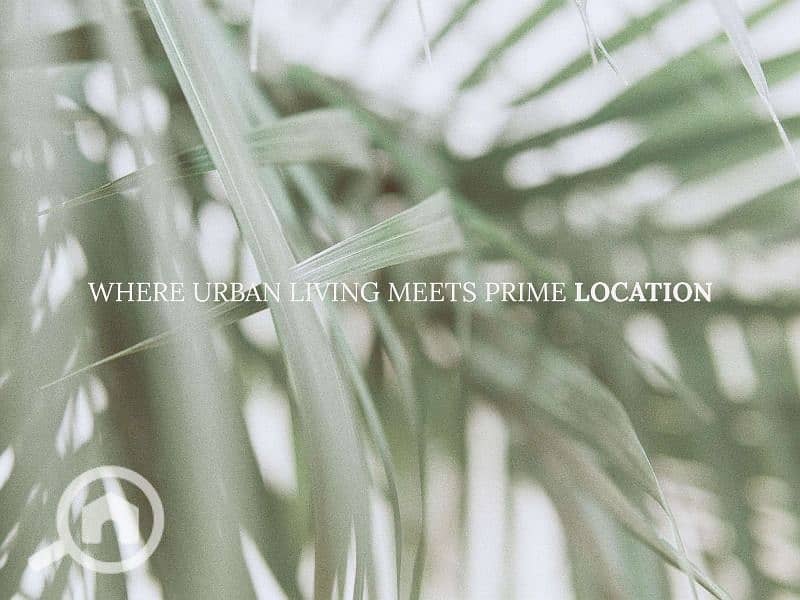 3 9f89ec87-a65c-45ad-9461-3f888664f402. jpg