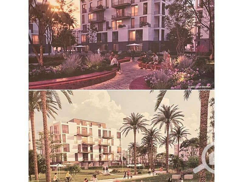 4 220f770b-f930-4b37-ae03-f46e29a82169. jpg