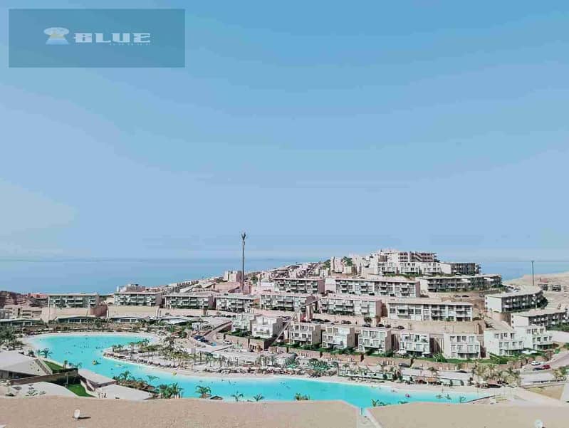 1003335513. jpg 1003335513. jpg