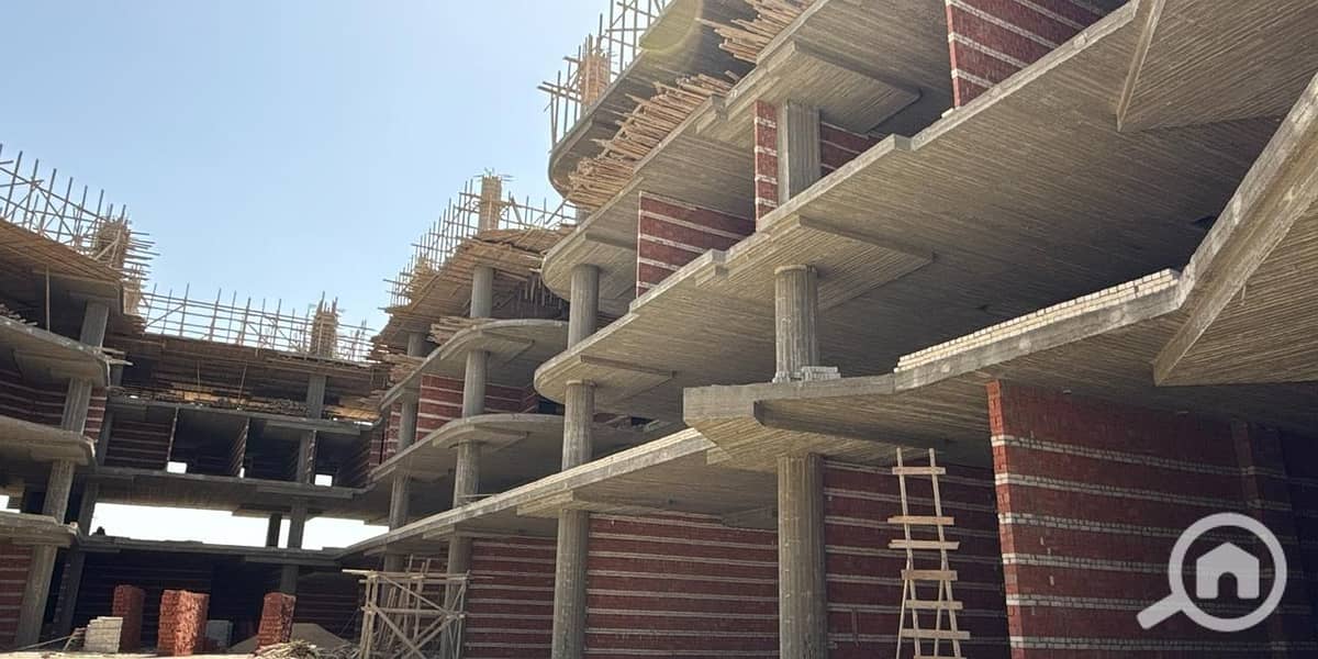 3 1dedefd0-bd3d-4f4d-bb04-a81dc4c922db. jpg