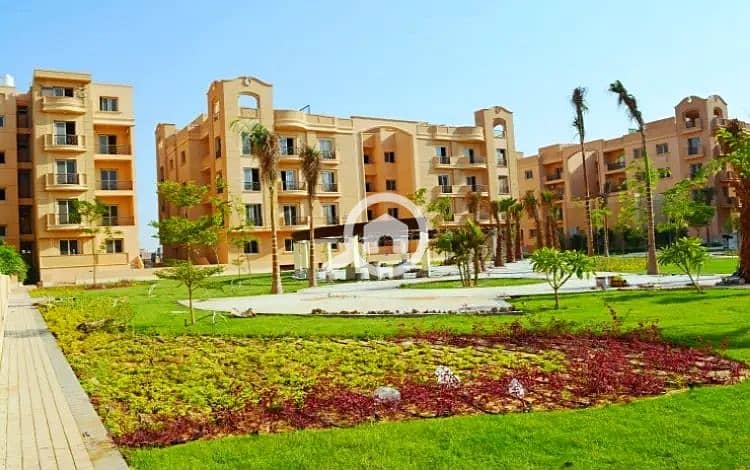 5 IMG-20251215-WA0011 - Copy - Copy. jpg