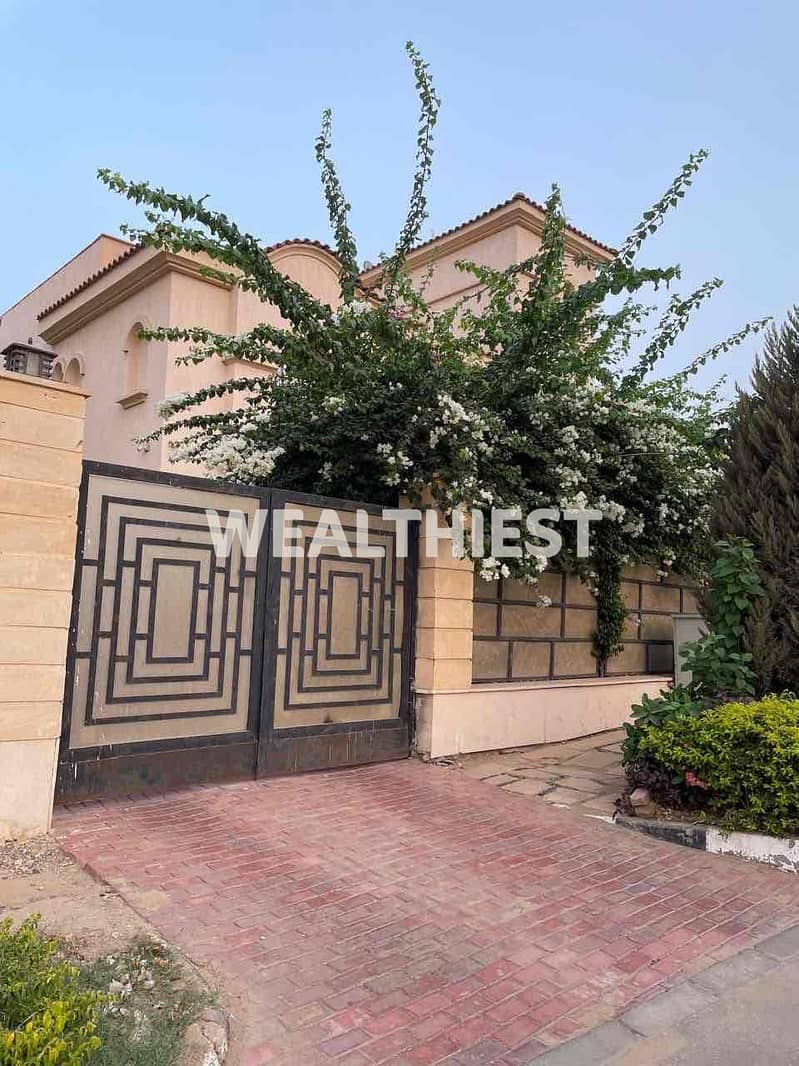 2 2b029156-4344-49c8-a2d2-bc81fe9171dc. jpg