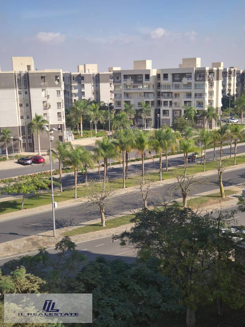 13 d07aecbd-f7b5-4a1c-a4e0-9dfb1273eb88. jpg