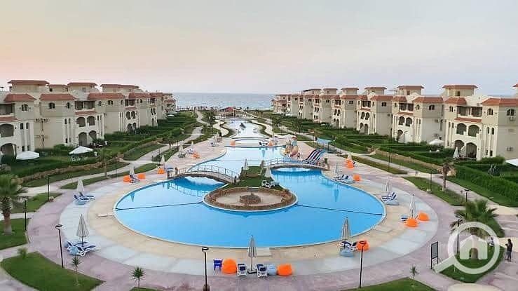 2 273252034_1577780159267145_1890247122695681030_n. jpg