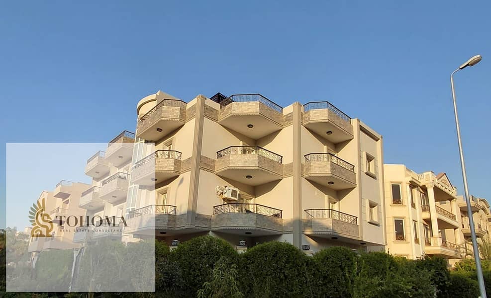 6 eb1a6f02-6a89-44e2-9d0d-421502573004. jpg